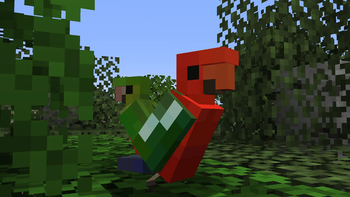 King Parrots