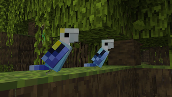 Pale-Headed Rosellas