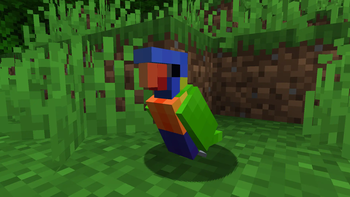 Rainbow Lorikeet