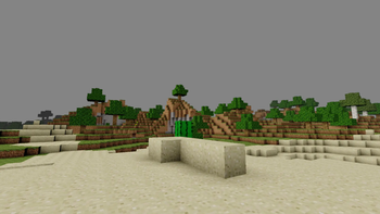 Cactus and The Forest