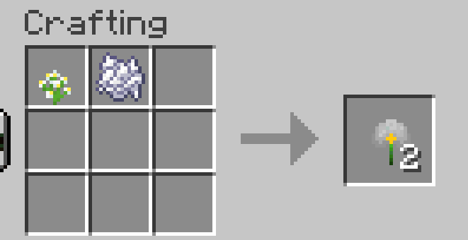 silver leaf flower