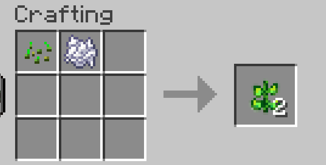 medicial Herb