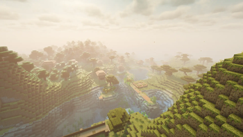 Forest 1