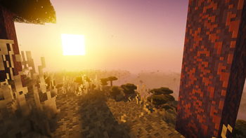 Savanna 1