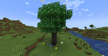 New Tree Blackthorn