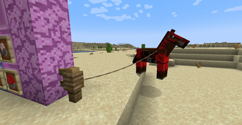 Ruby Horse Armor