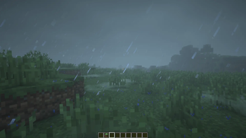 Rain