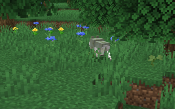 New Clover Wolf