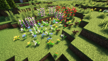 Flowers-1.3