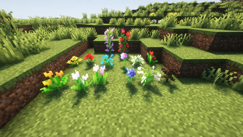 Flowers