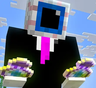 Unstable SMP 图标