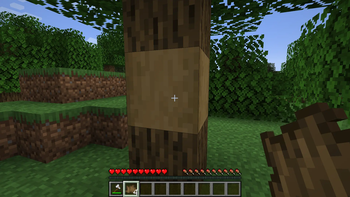 Stripped Oak