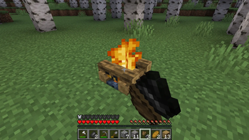 Lighting a Campfire