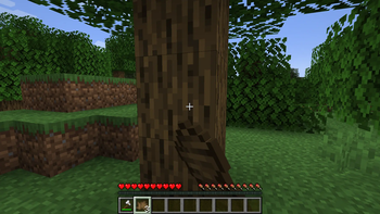 Reapplying Bark