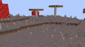 The biome now.