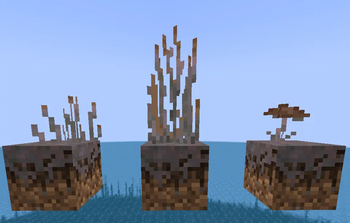 Mushroom Island Plants — screenshot 1