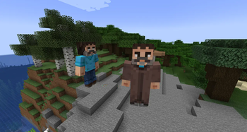 villager & wandering trader