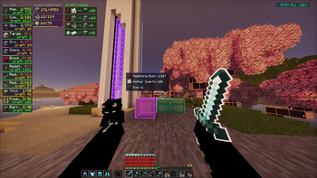 Hud view