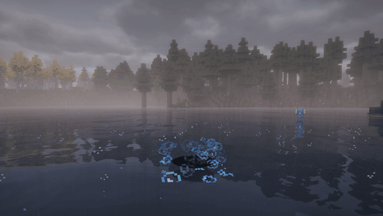 Water Spot