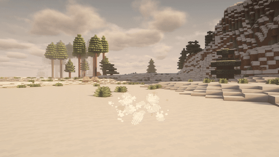 Snow Spot
