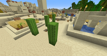 Cacti and a village in a desert