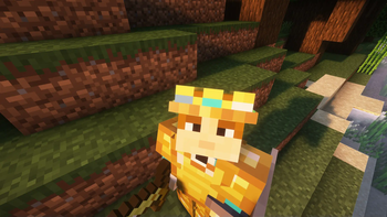 Gold armor