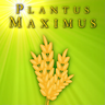 PlantusMaximus