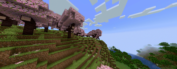 "Notch"