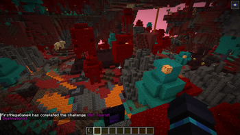 Best Nether Biome Spreading Generation!