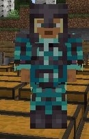 Internecion Armour Trim
