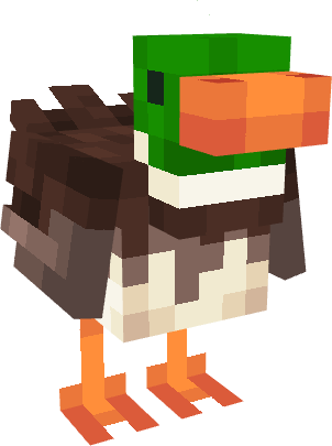 Duck