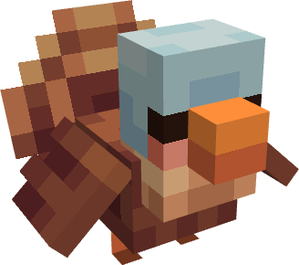 Baby Turkey (poult)