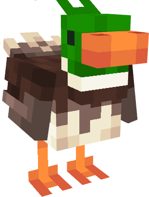 Duck