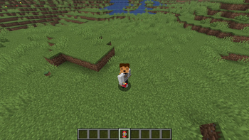 Held in Third Person POV