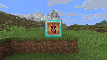 In Item Frame