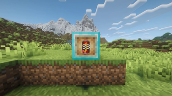 In Item Frame (Shaders)