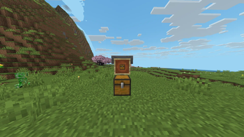 Item Frame Filter