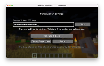 API Key Entry