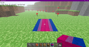 the bi carpet