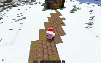 Paths