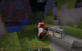 First steps in a survival world