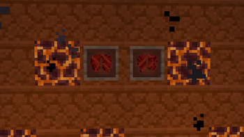 Magma Elytra