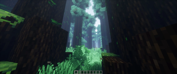 LJ's Natural — screenshot 2
