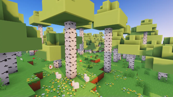 Birch Forest