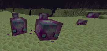 Family of Endoslimes