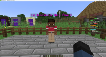 fancy pnj