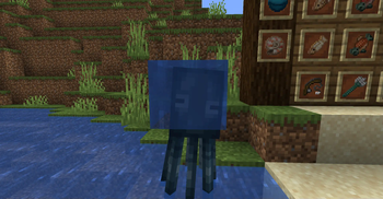Squid