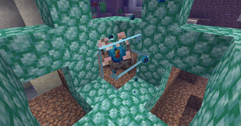 Conduit
