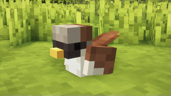 Bird