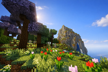 Custom biomes